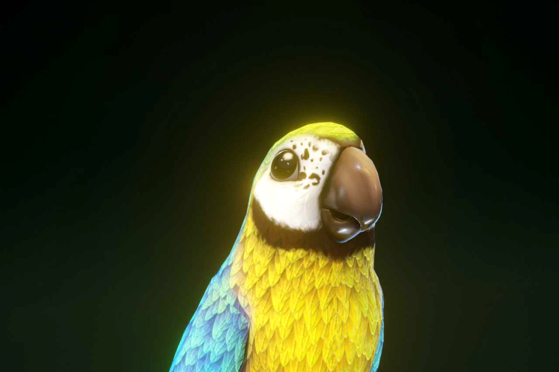 Cartoon Ara Parrot Yellow-Blue Animated 3D Model