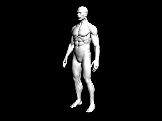 male body