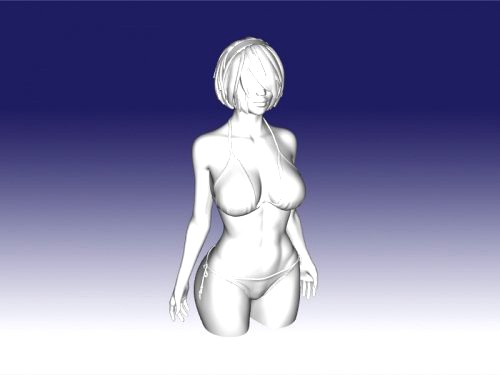 female torso