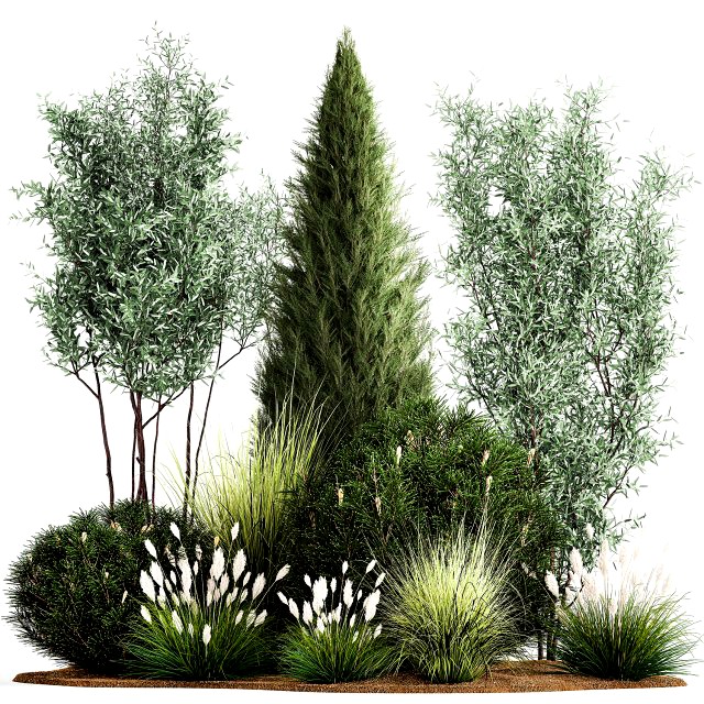 Trees And Bushes For The Garden Spruce Thuja 1190