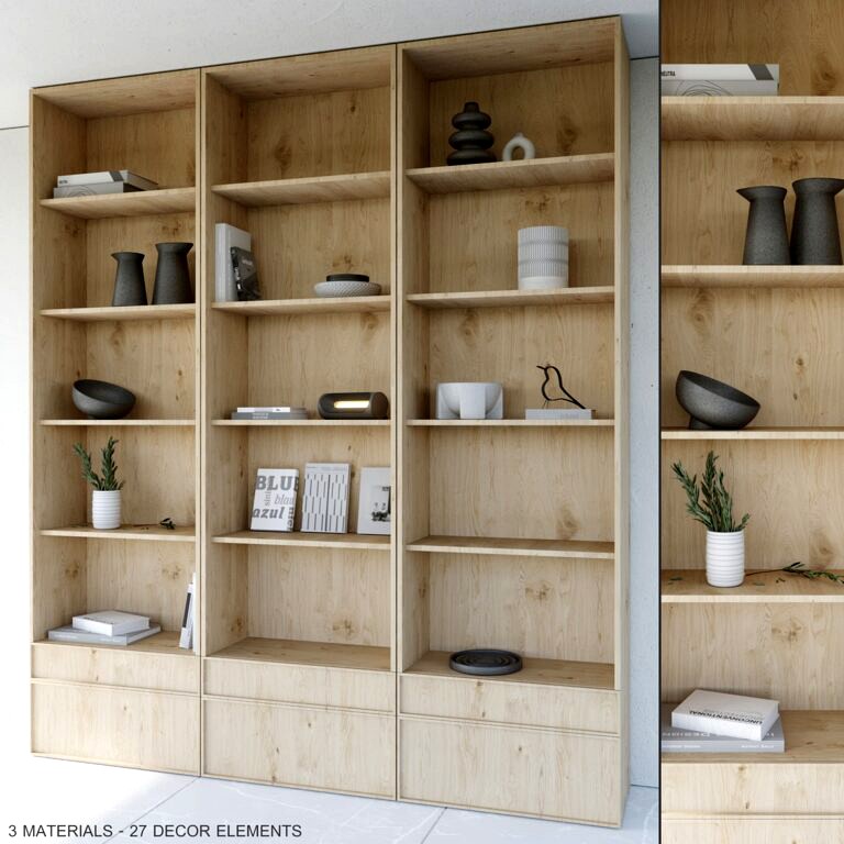 Bookcase and Rack 01 (346246)