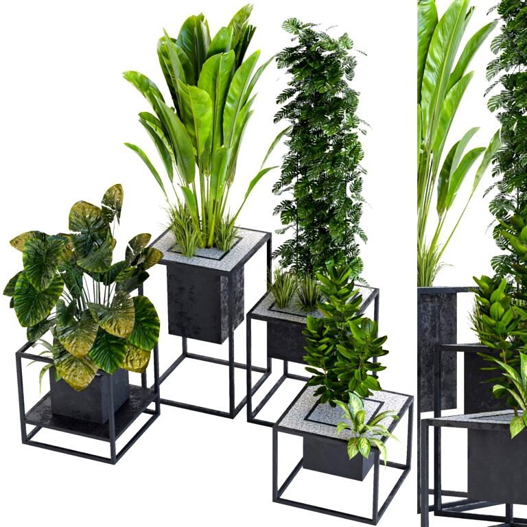 Indoor plant vol 23 (346351)