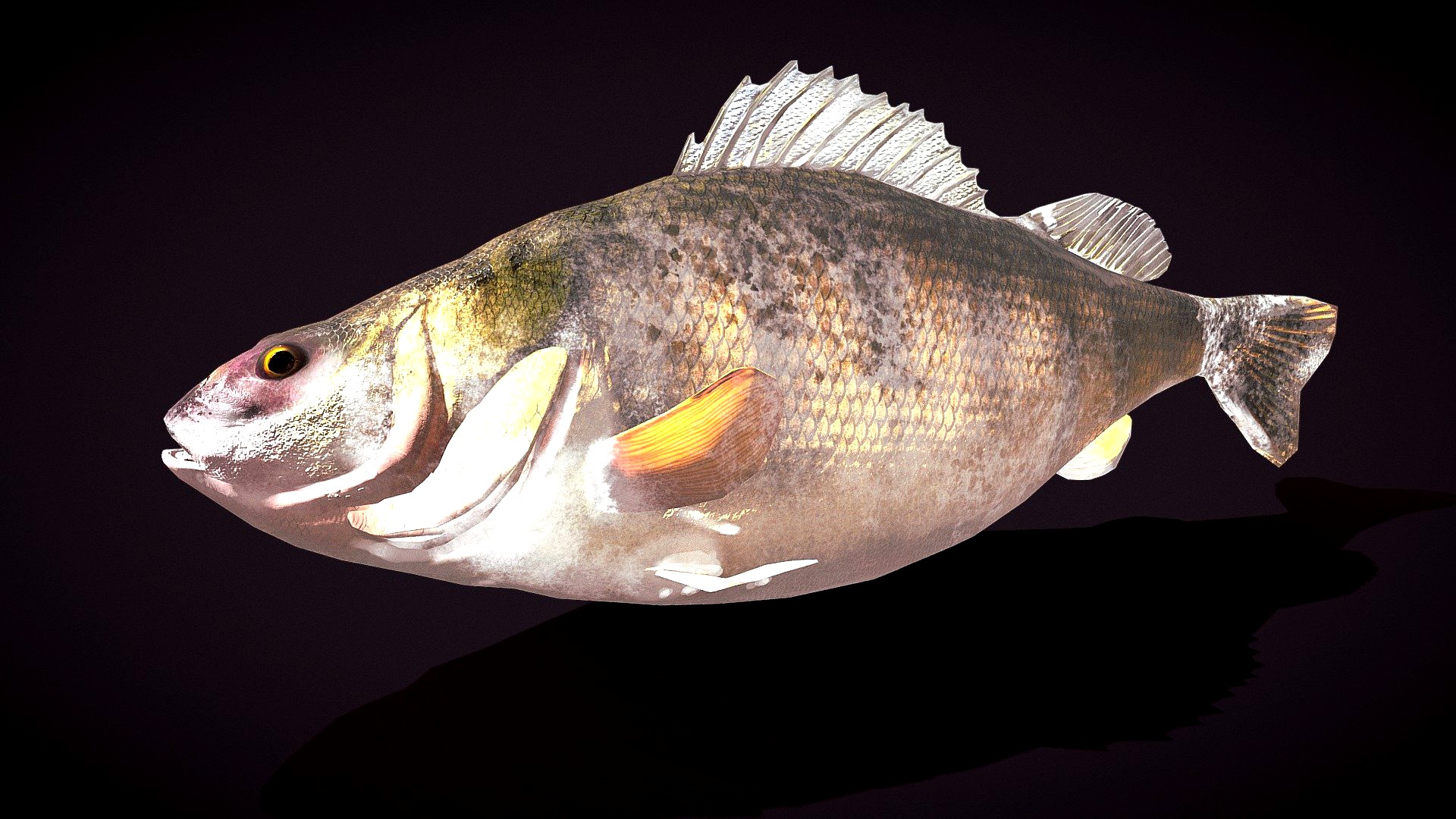 Perch