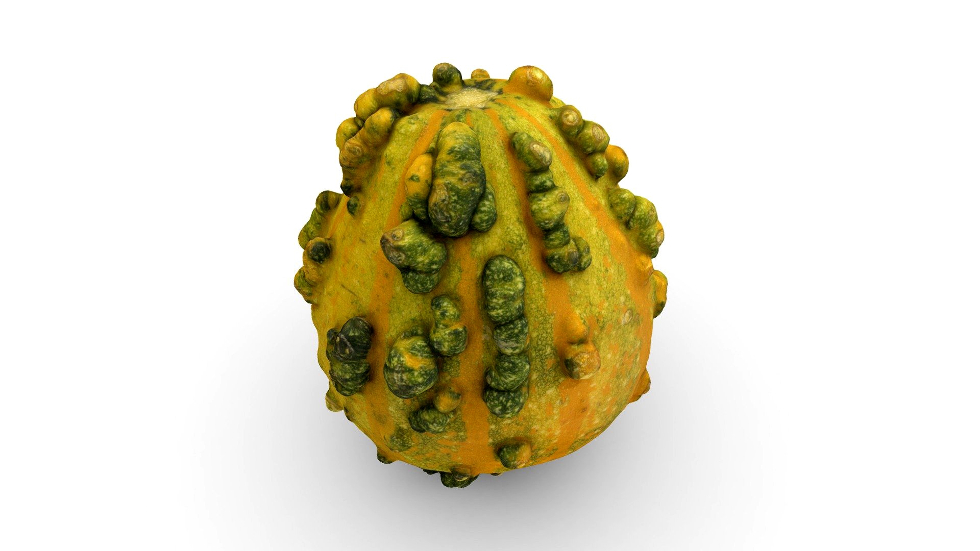 Bumpy Gourd