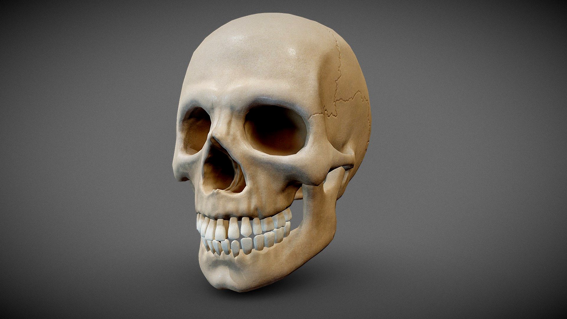 Skull