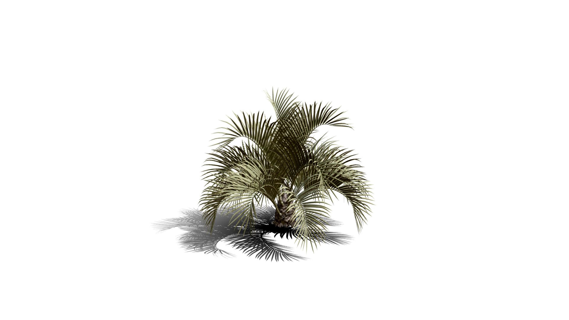 Realistic HD Jelly palm (1/15)