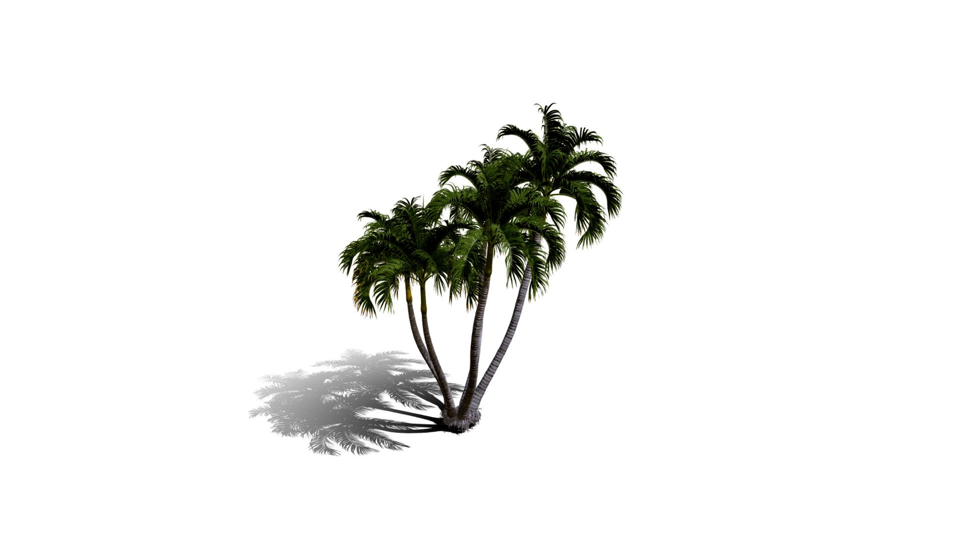 Realistic HD Christmas palm (35/35)