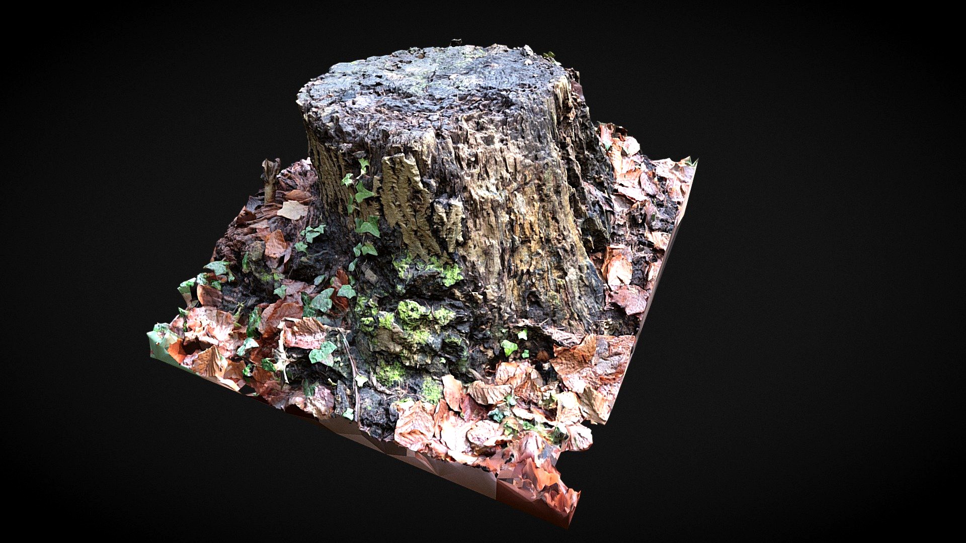 Tree stump
