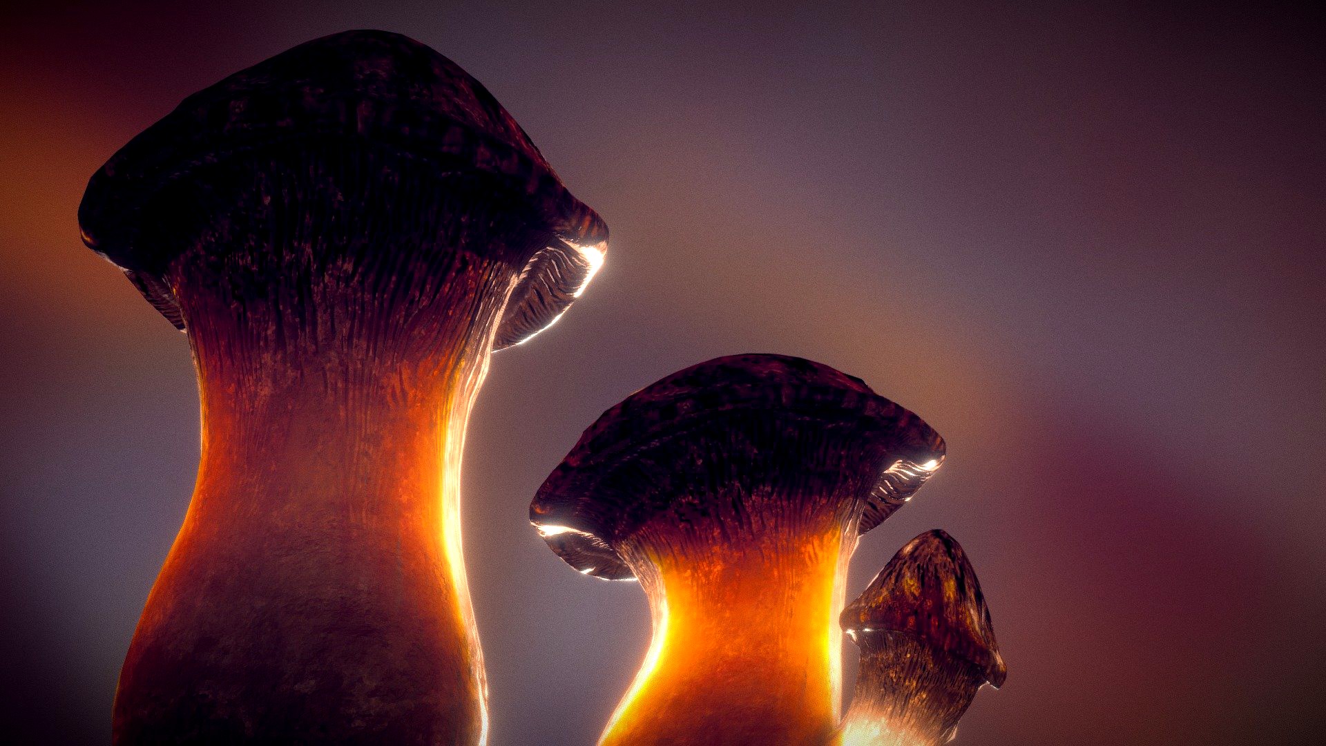 Mushroom Stylized Assets — King Trumpet