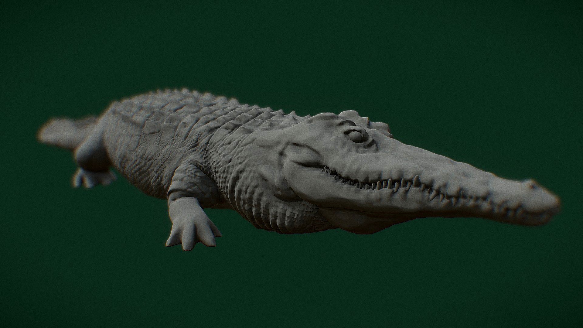 Crocodile full body (rough)