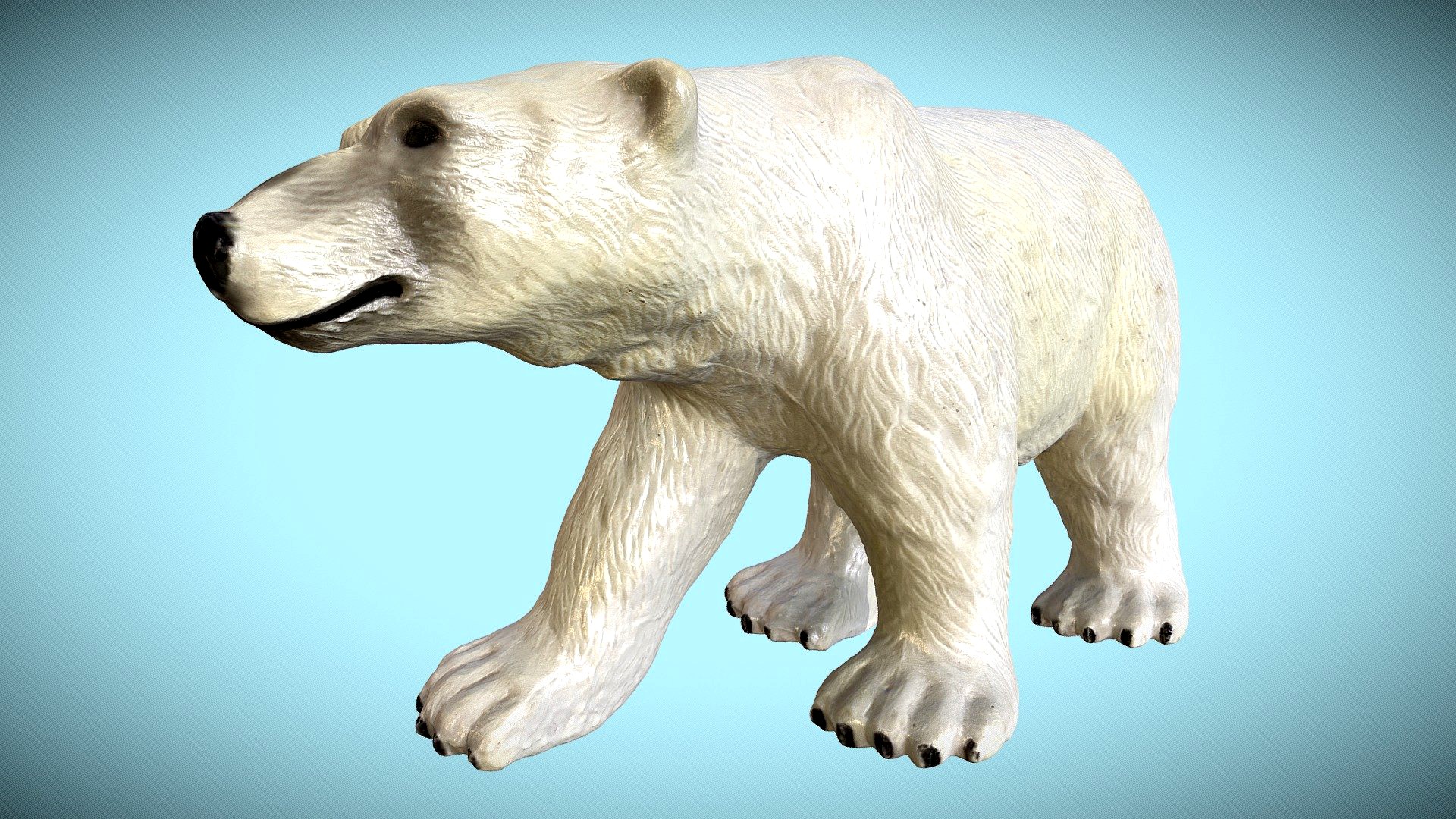 Polar Bear