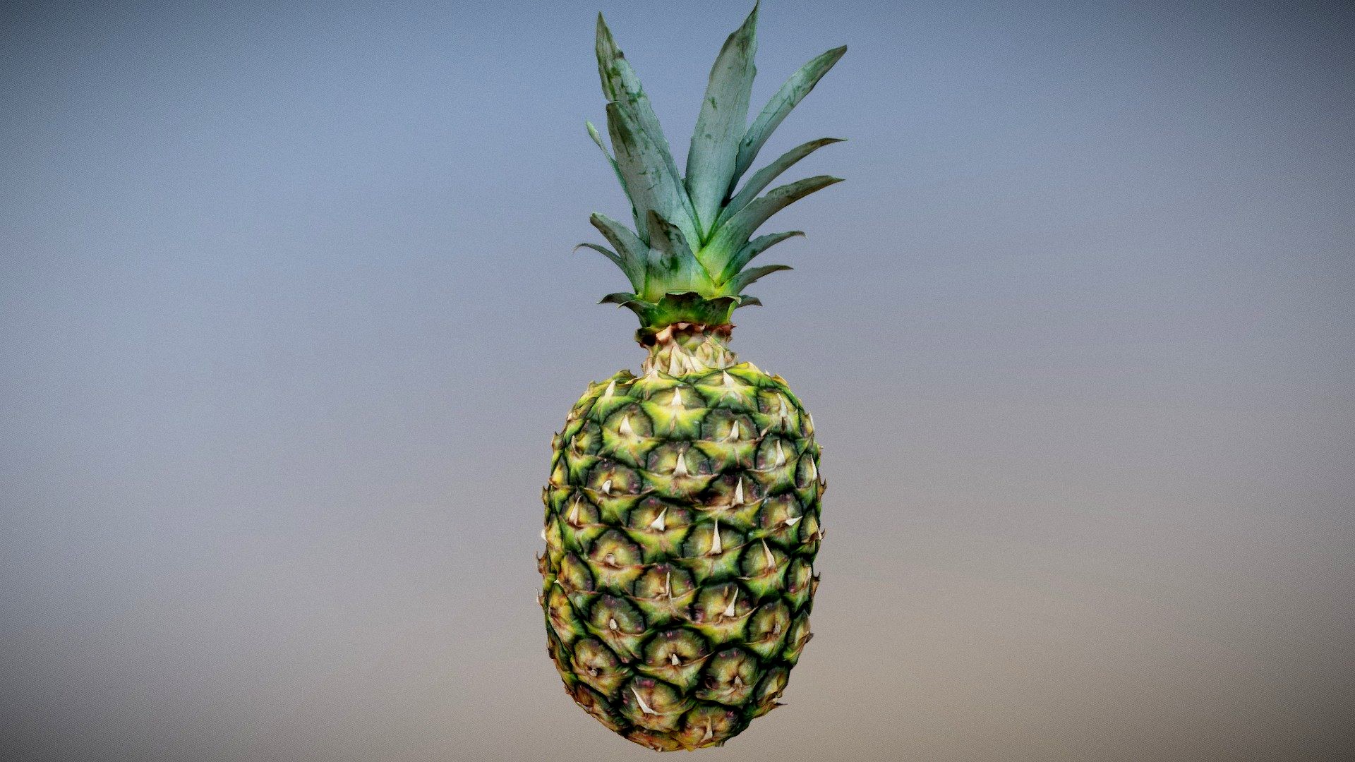 Pineapple - Photogrammetry