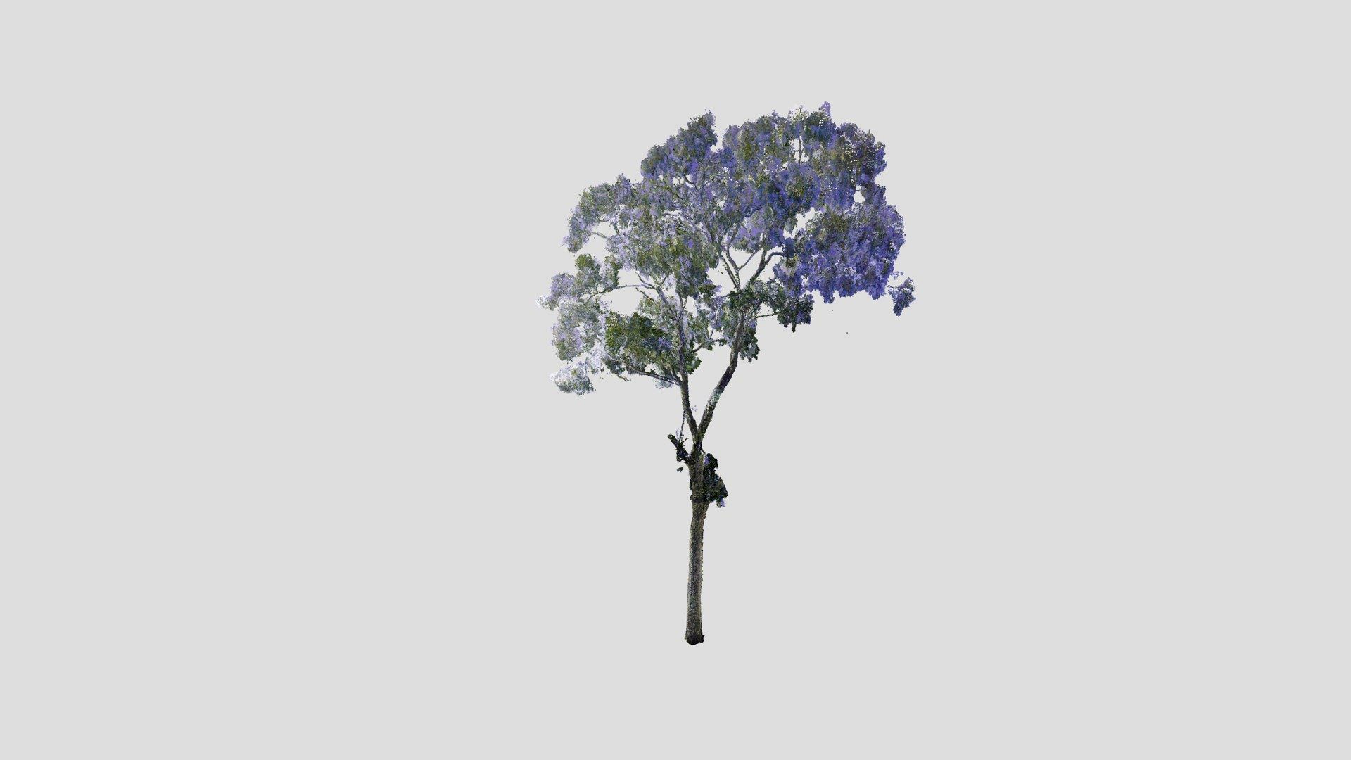 Tree Point Cloud