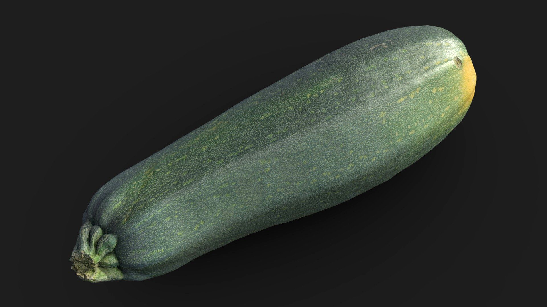 Zucchini Scan