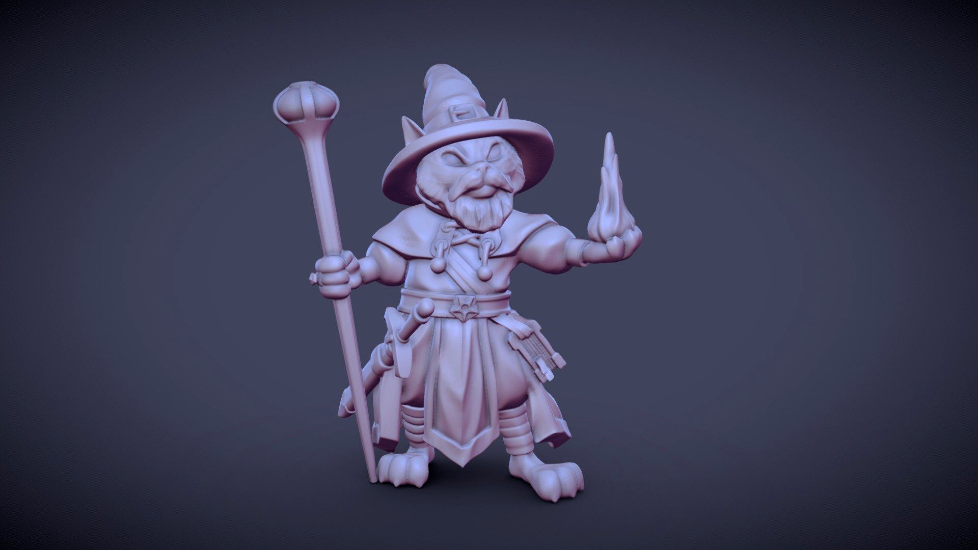 Wizard Cat