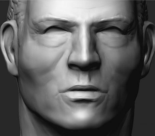 Face sculpture Zbrush ztl 3D Model