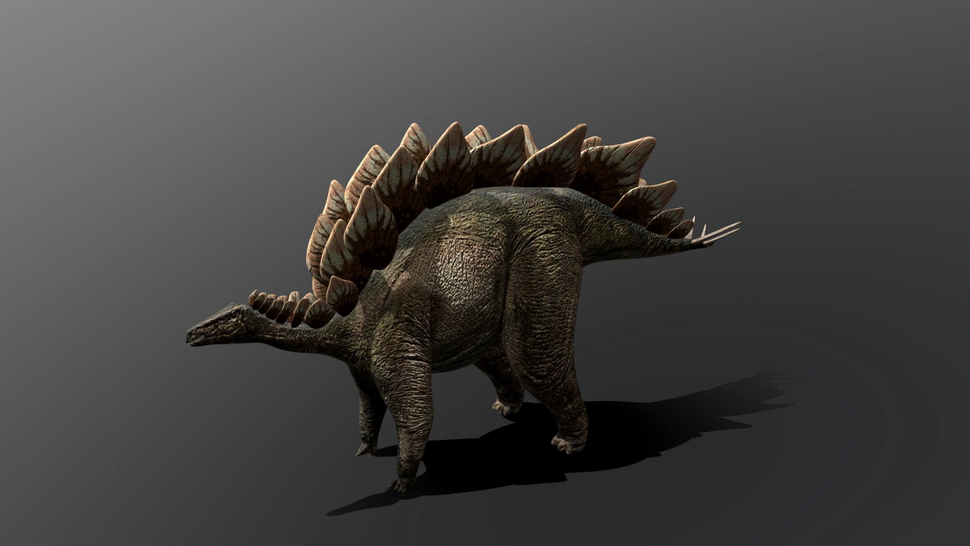 Stegosaur