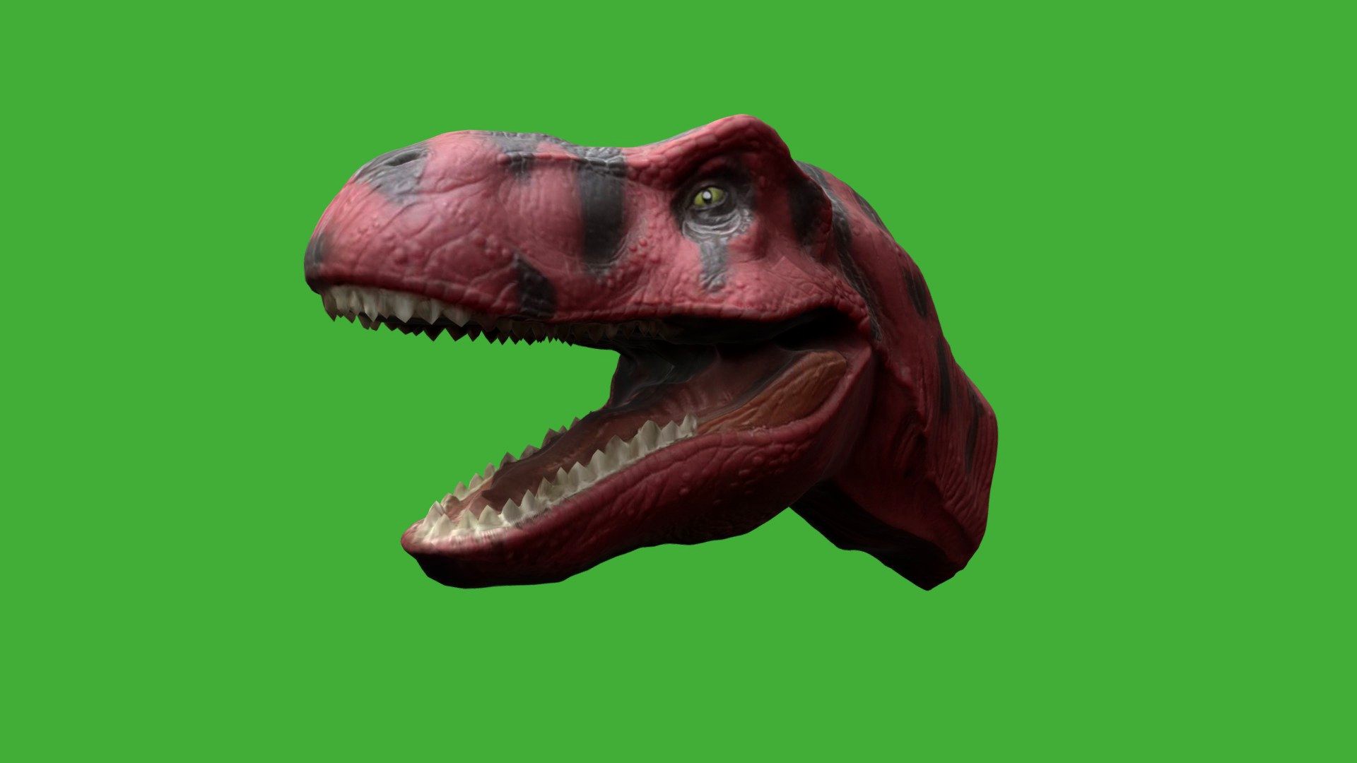 Tyrannosaurus Rex head