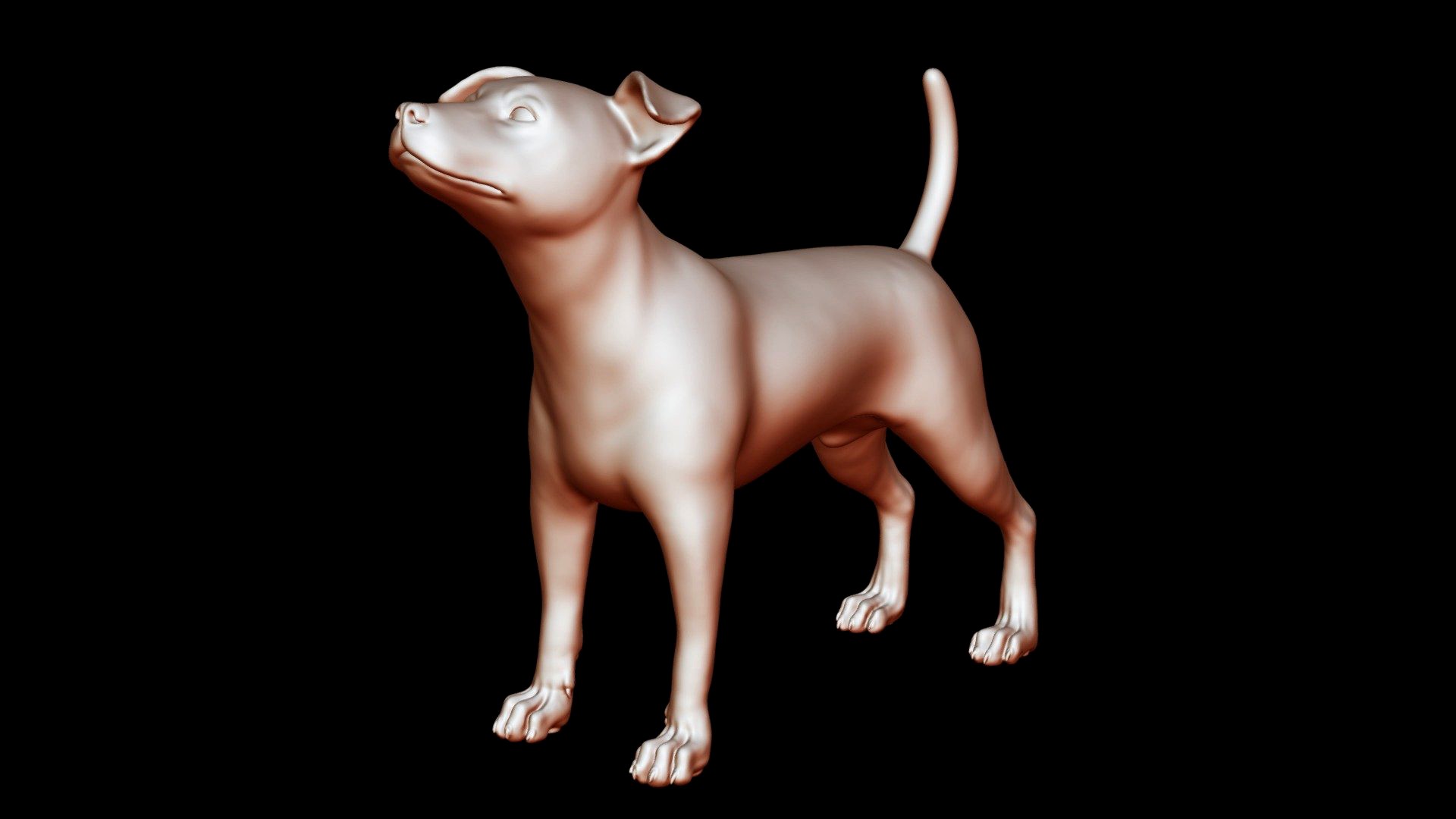 Jack Russell Terrier Pose 02 3D print model