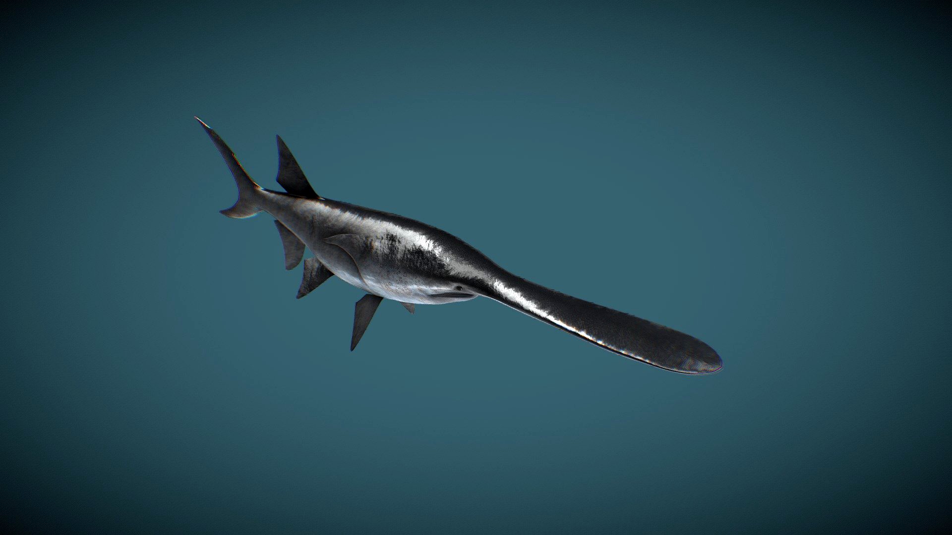 Paddlefish