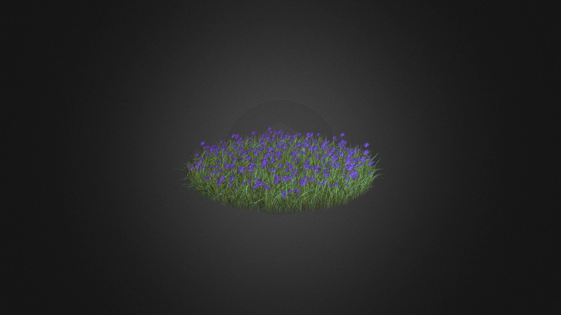 3D Sunshine Grass 719