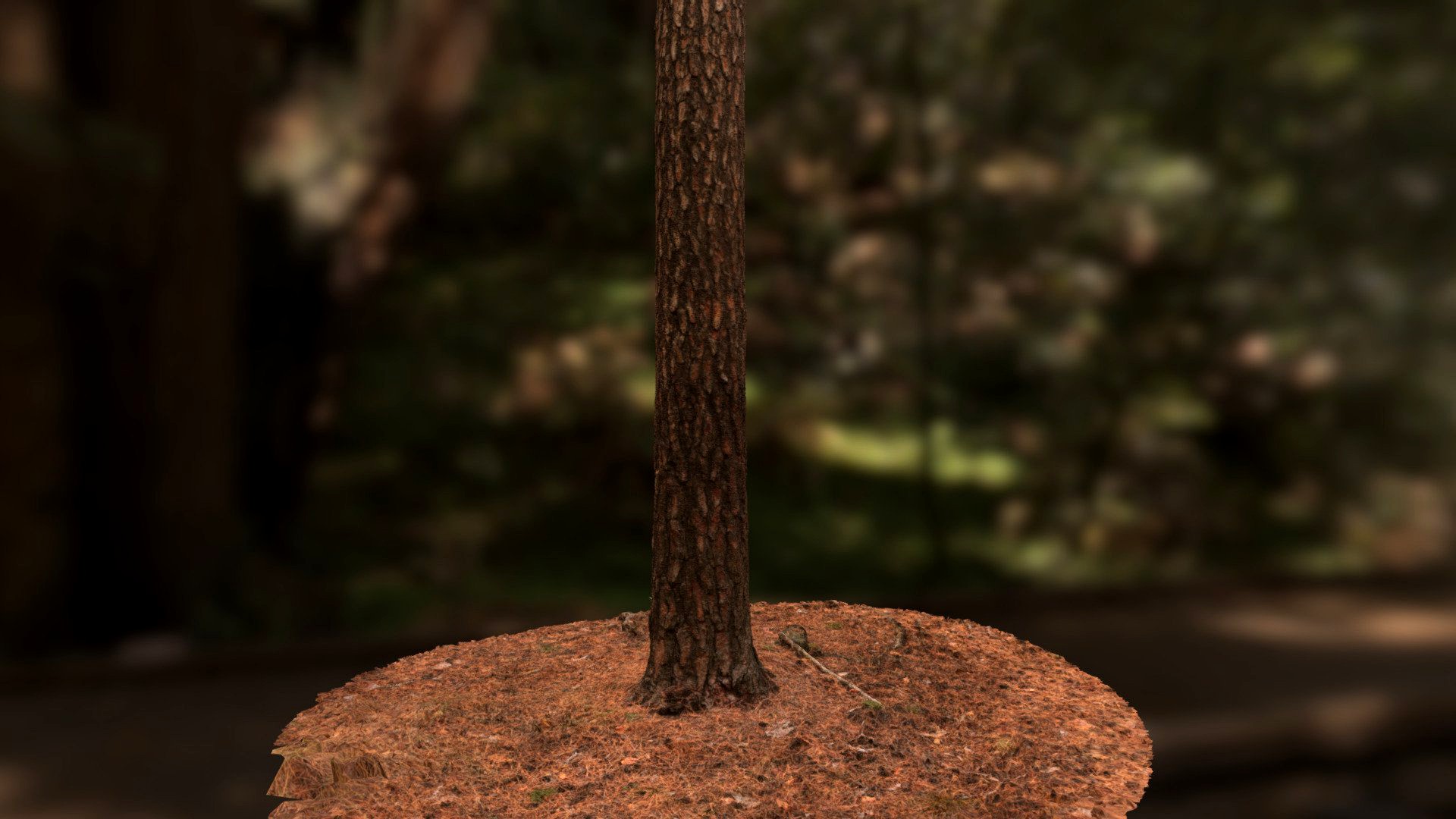 Fern Trunc with ground