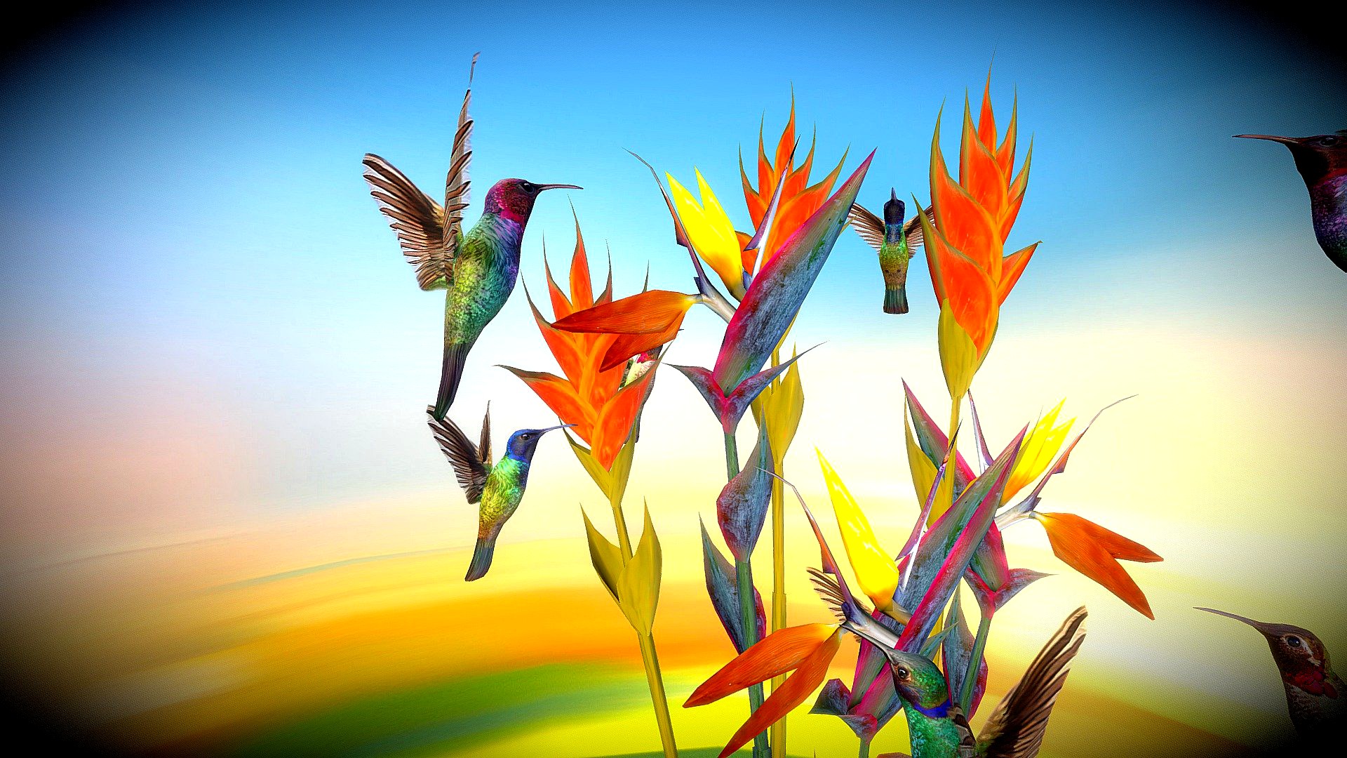Hummingbirds + Tropical Flowers