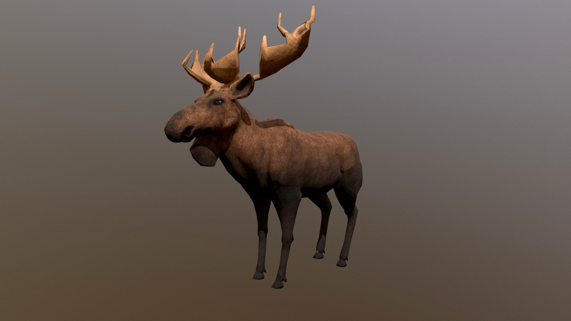 Moose