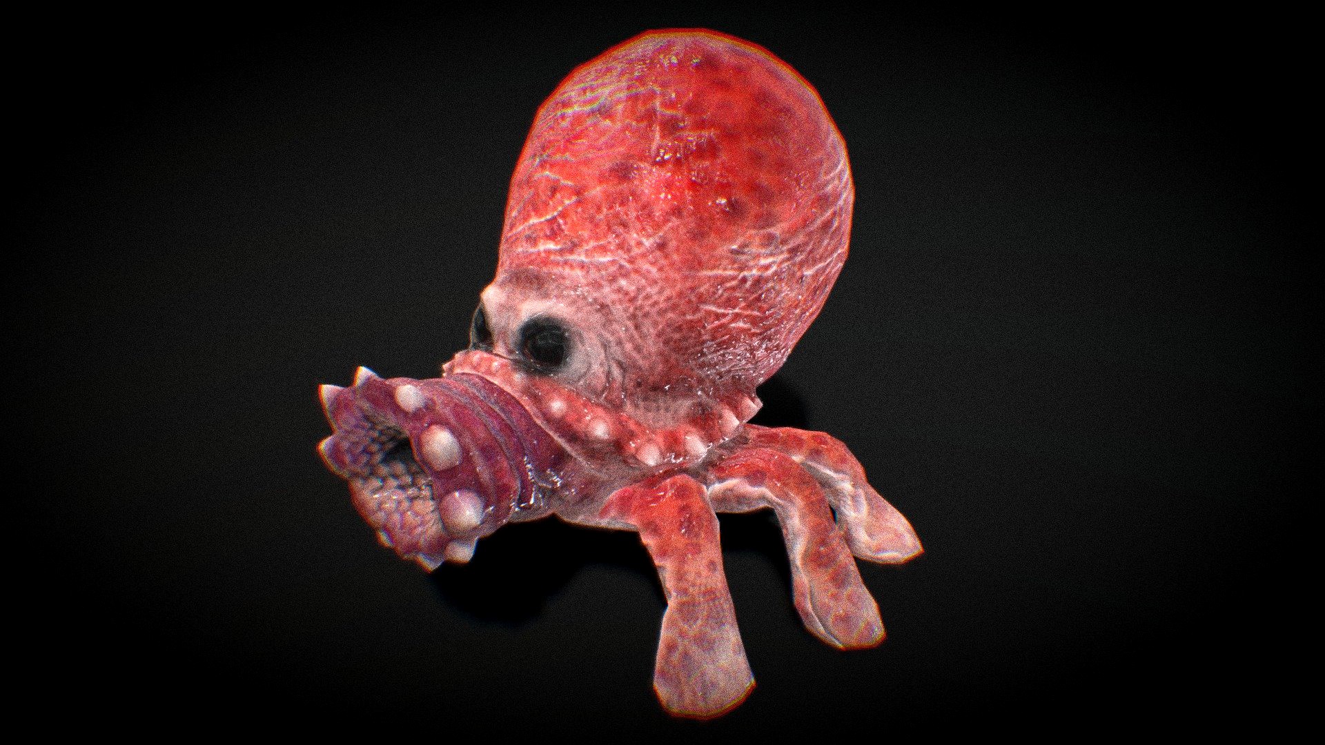 Roctopus, The Rock Shooting Octopus Thing