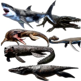 Sea Monster Bundle