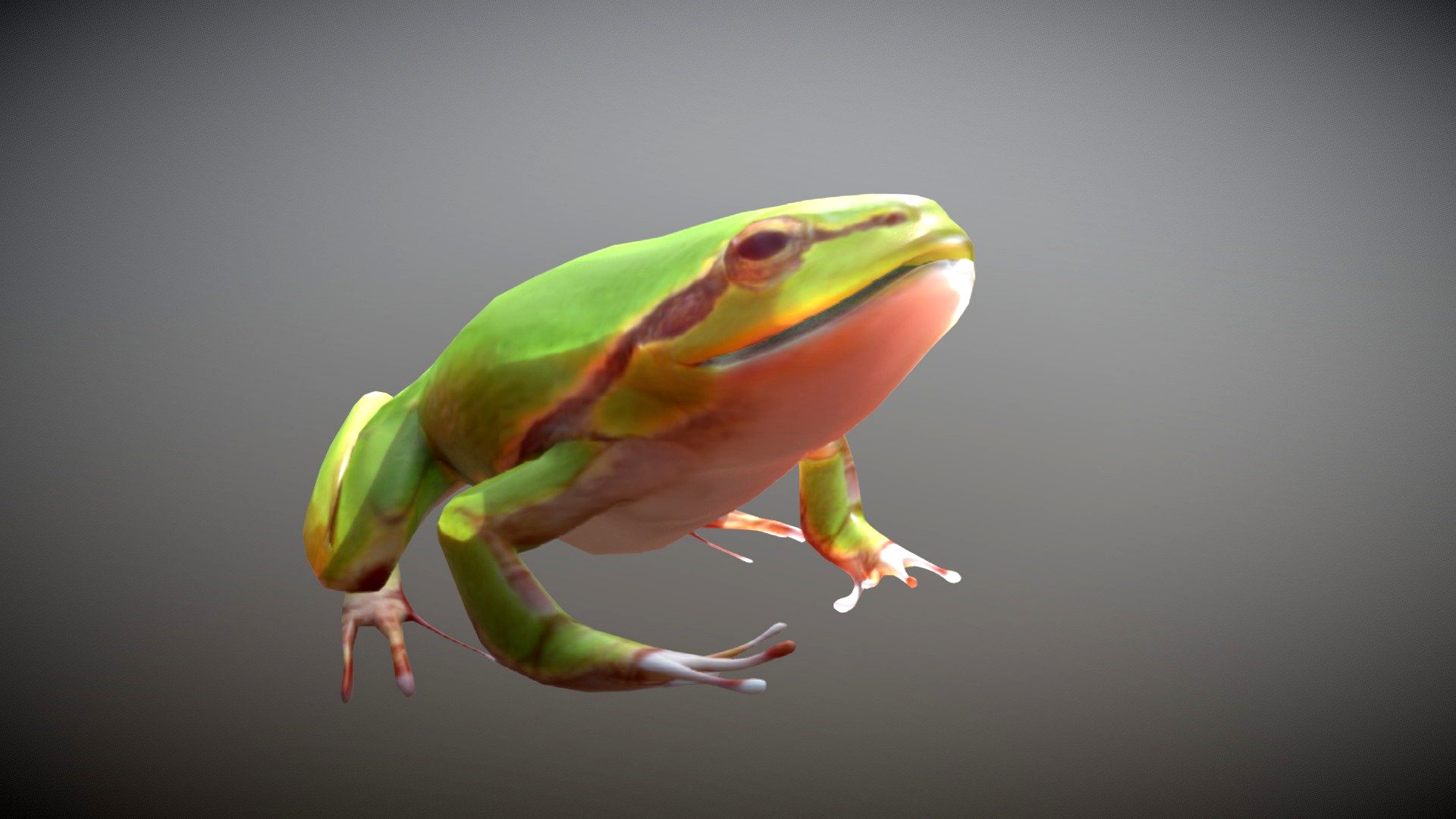 Frog