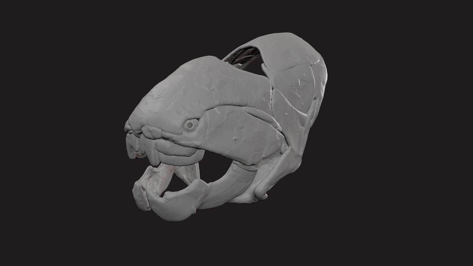 CMNH 6090, Dunkleosteus terrelli, 1:12 scale