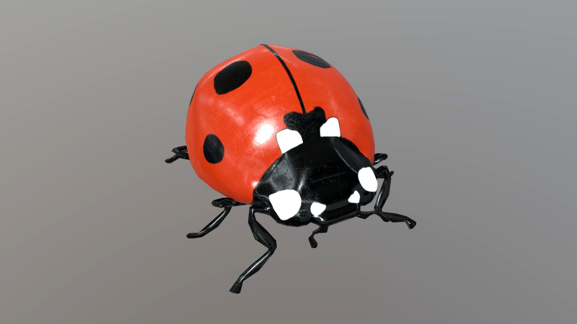 Ladybug plastic