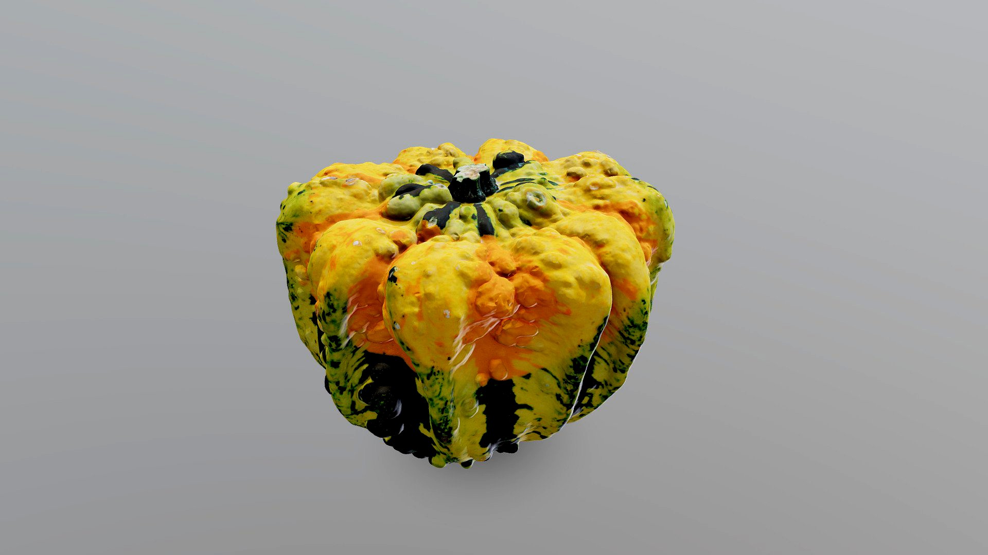 Green and Orange Warty Gourd