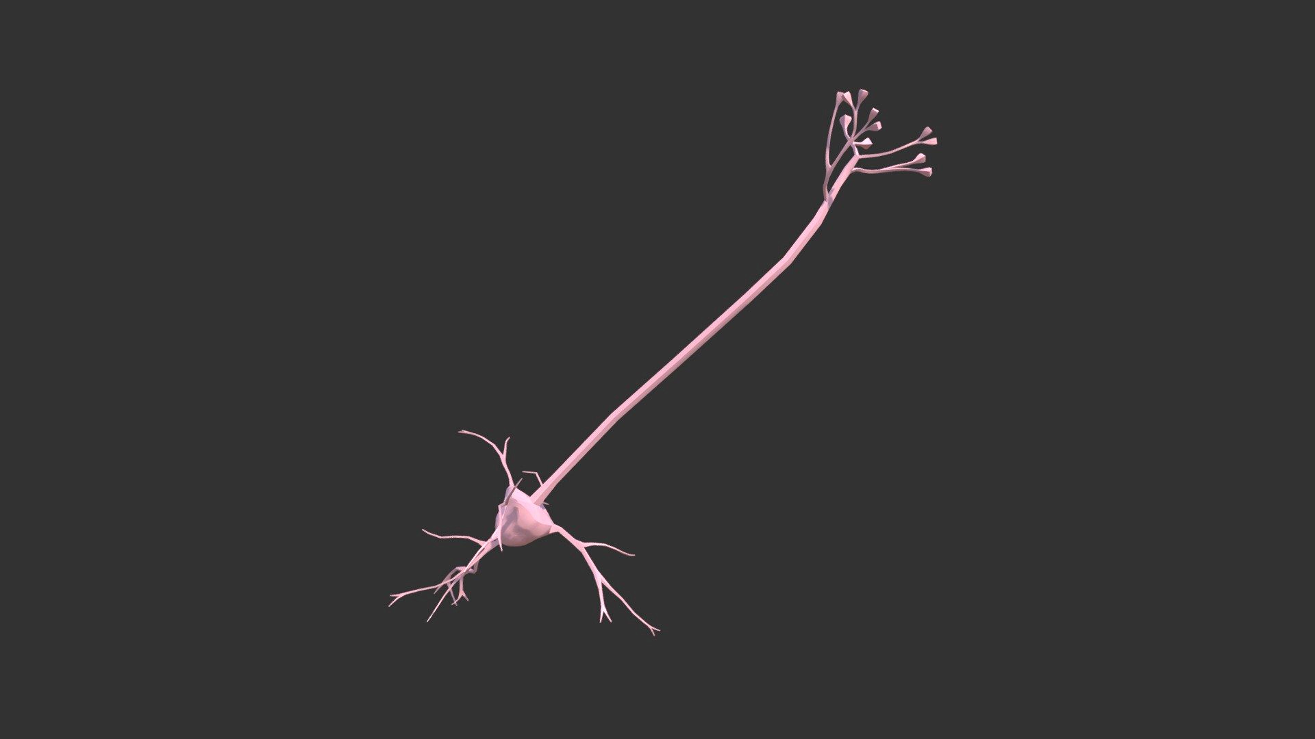 Neuron