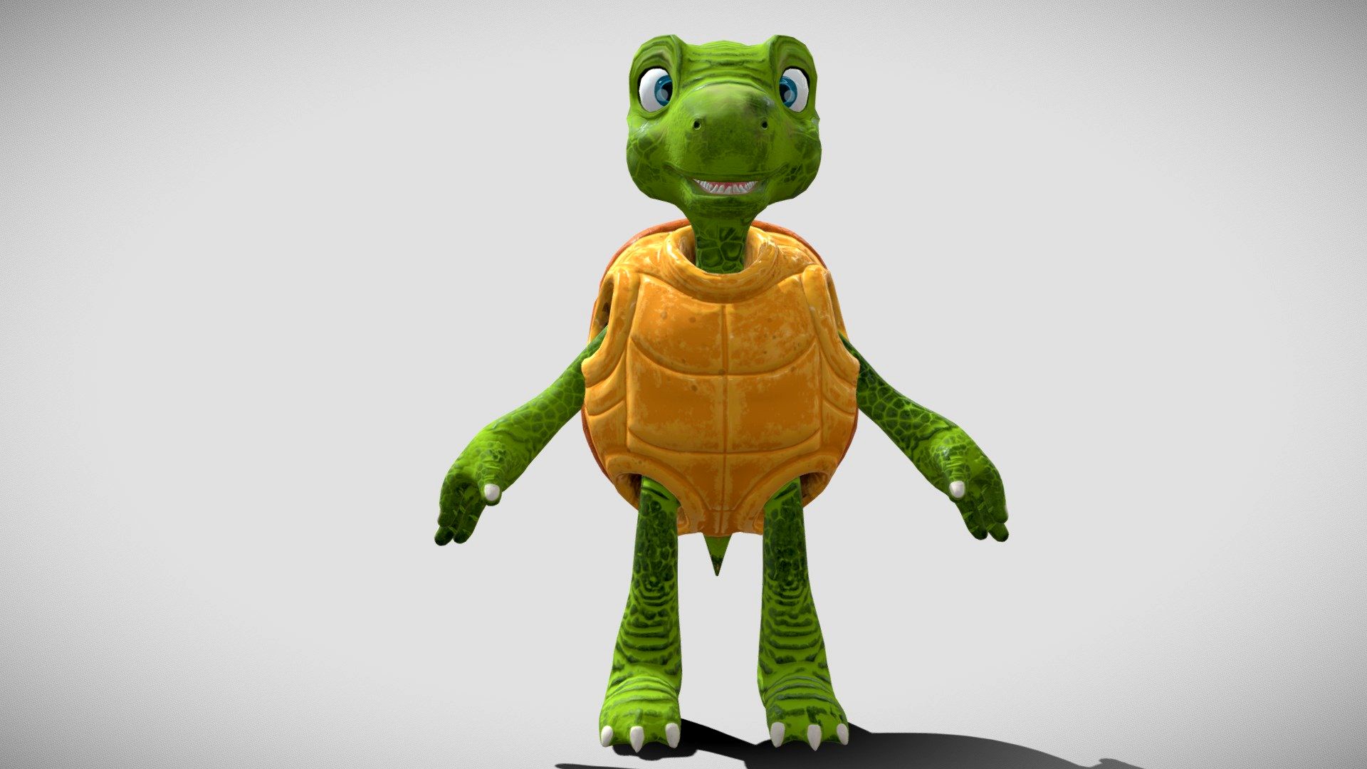 Tortoise