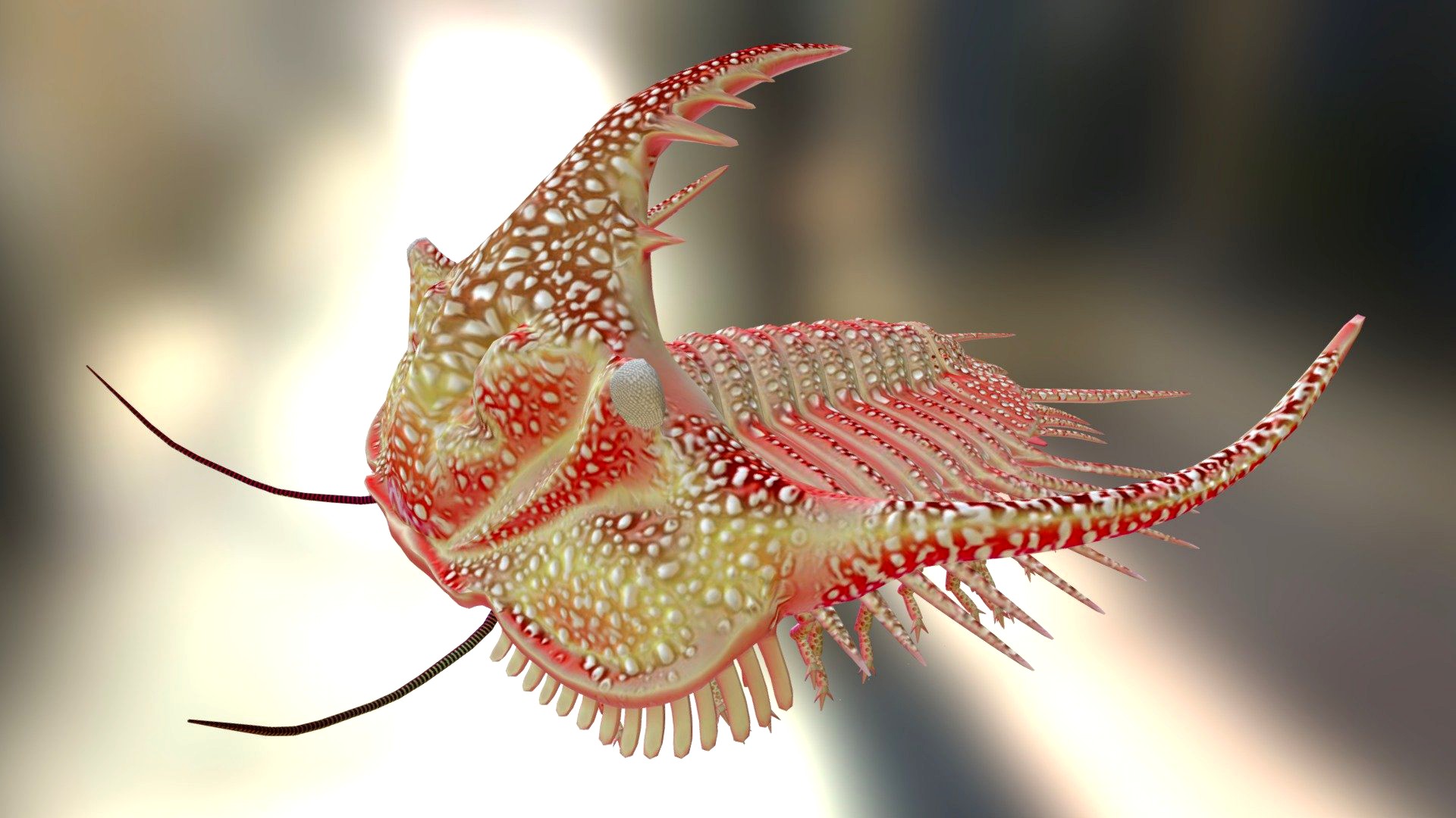 Acidaspis