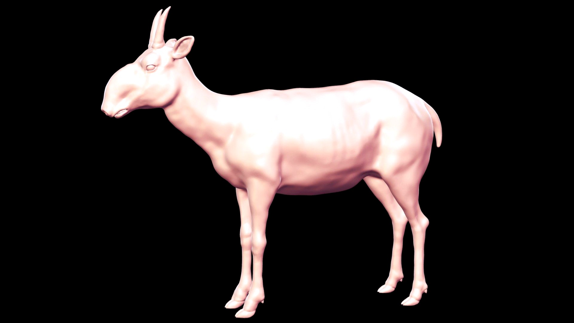 Saiga Antelope Base Mesh 3D Model