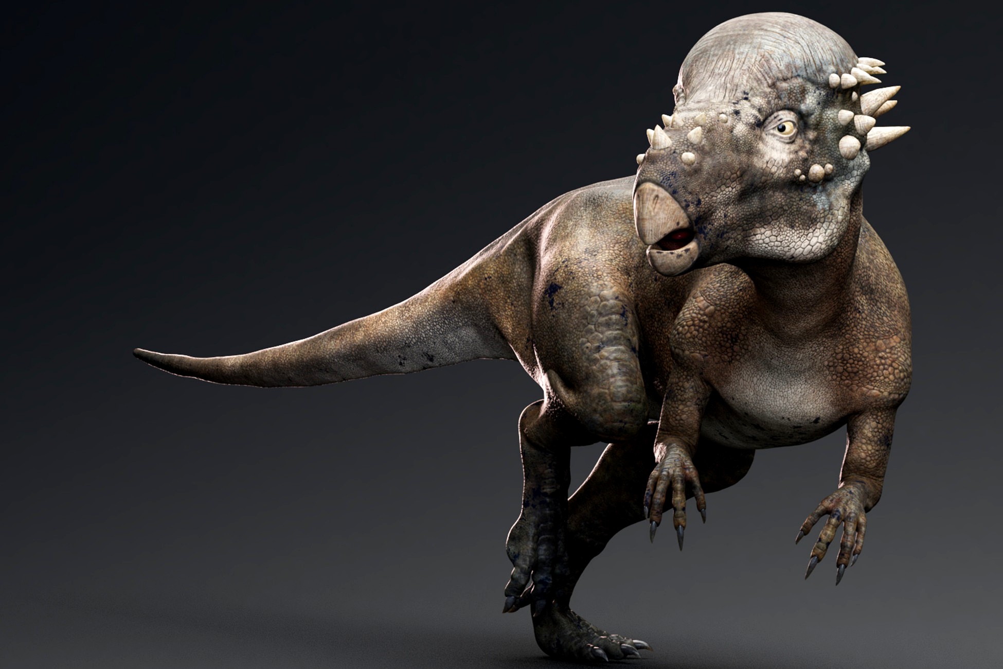 Dinosaur Pachycephalosaurus Dinosaur