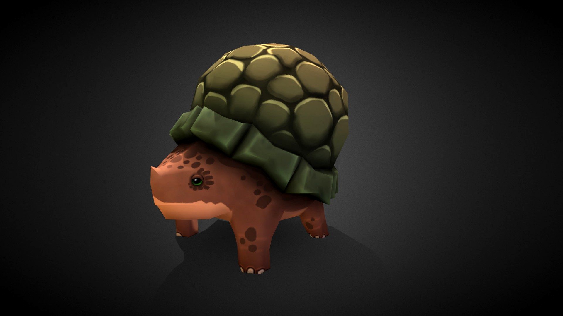 Tortoise
