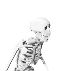 Low Poly Skeleton