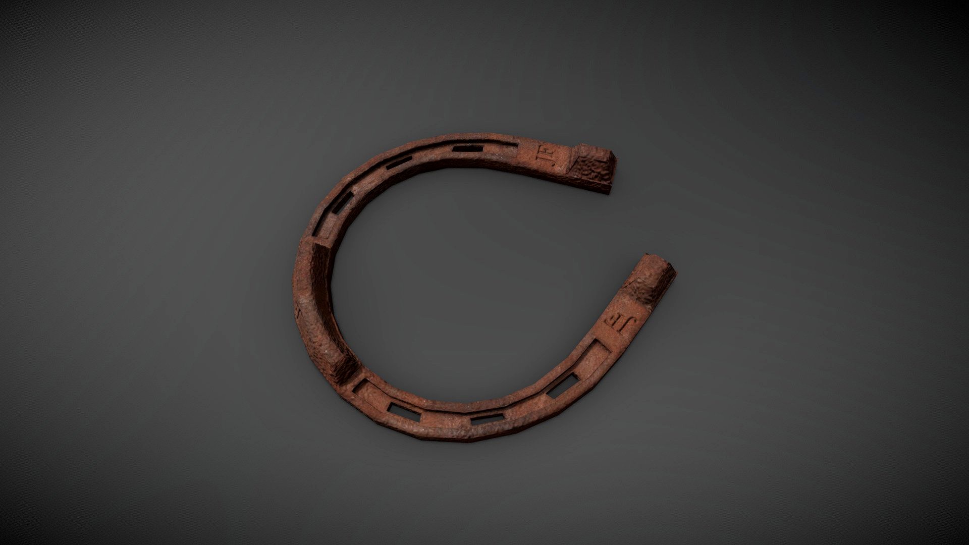 Old Rusty Horseshoe