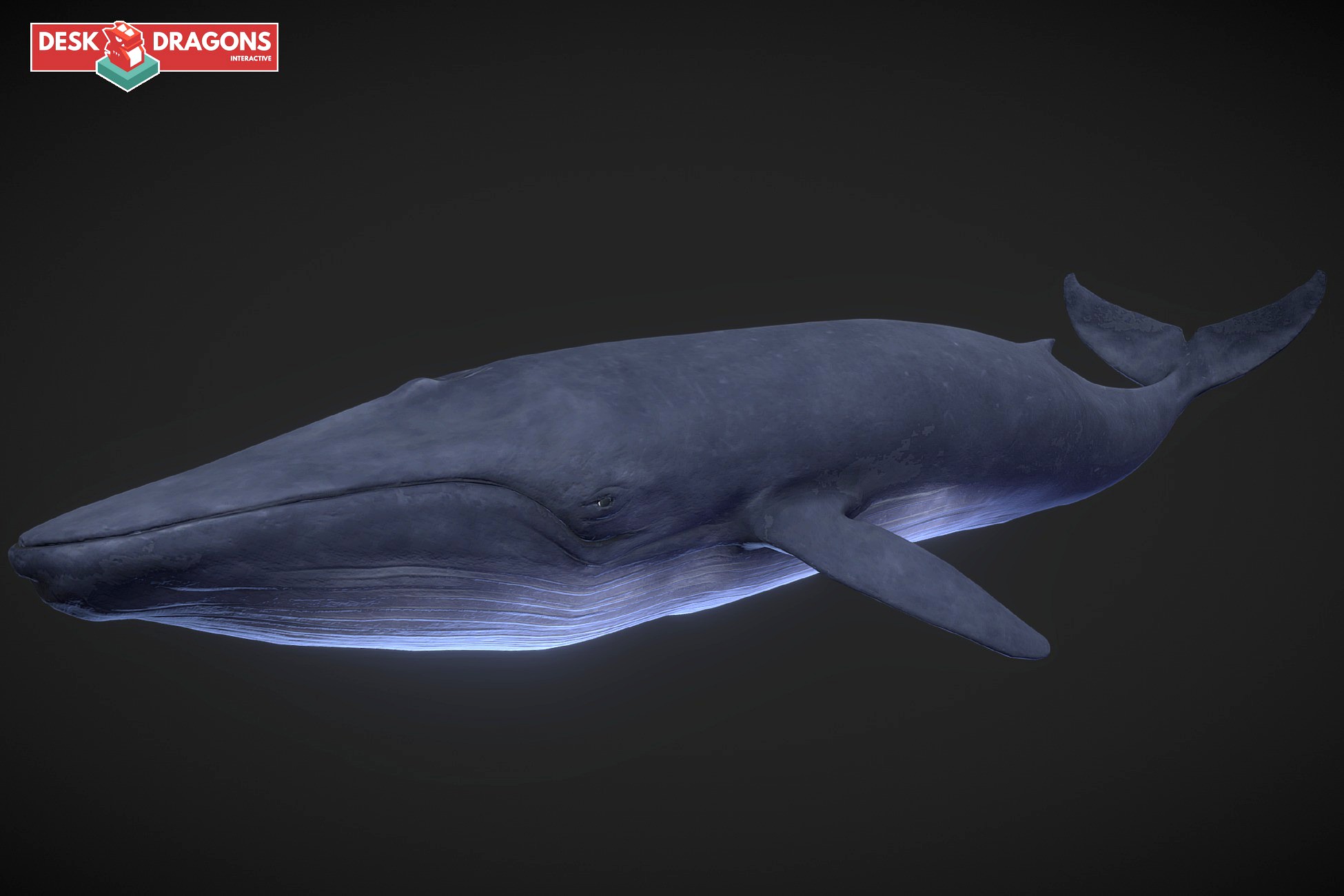 · Blue Whale ·