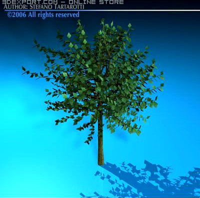 Tree 3D Model