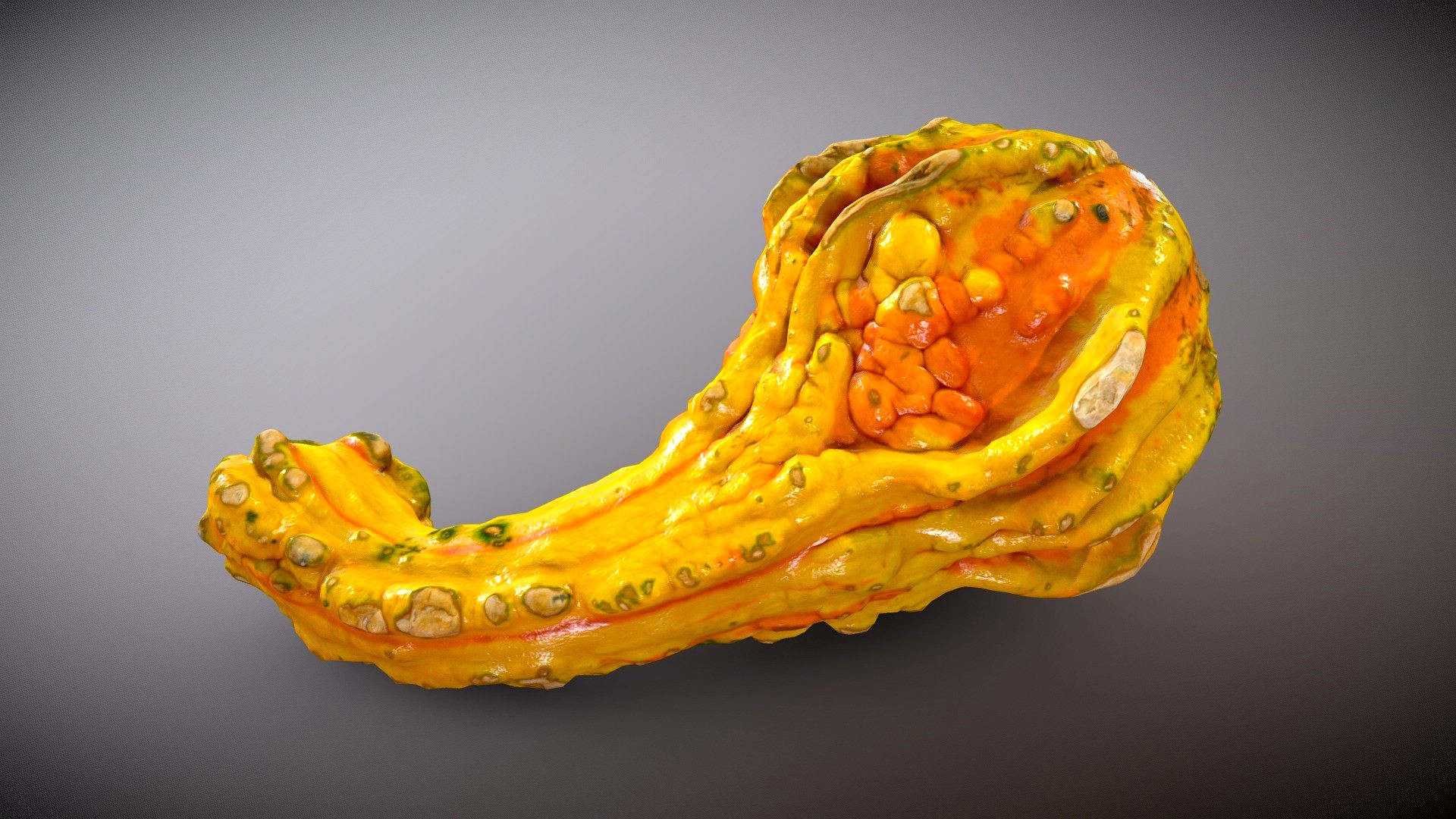 Squash / Gourd (includes low poly model)