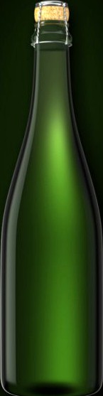 Bottle of Champagne 3D Model