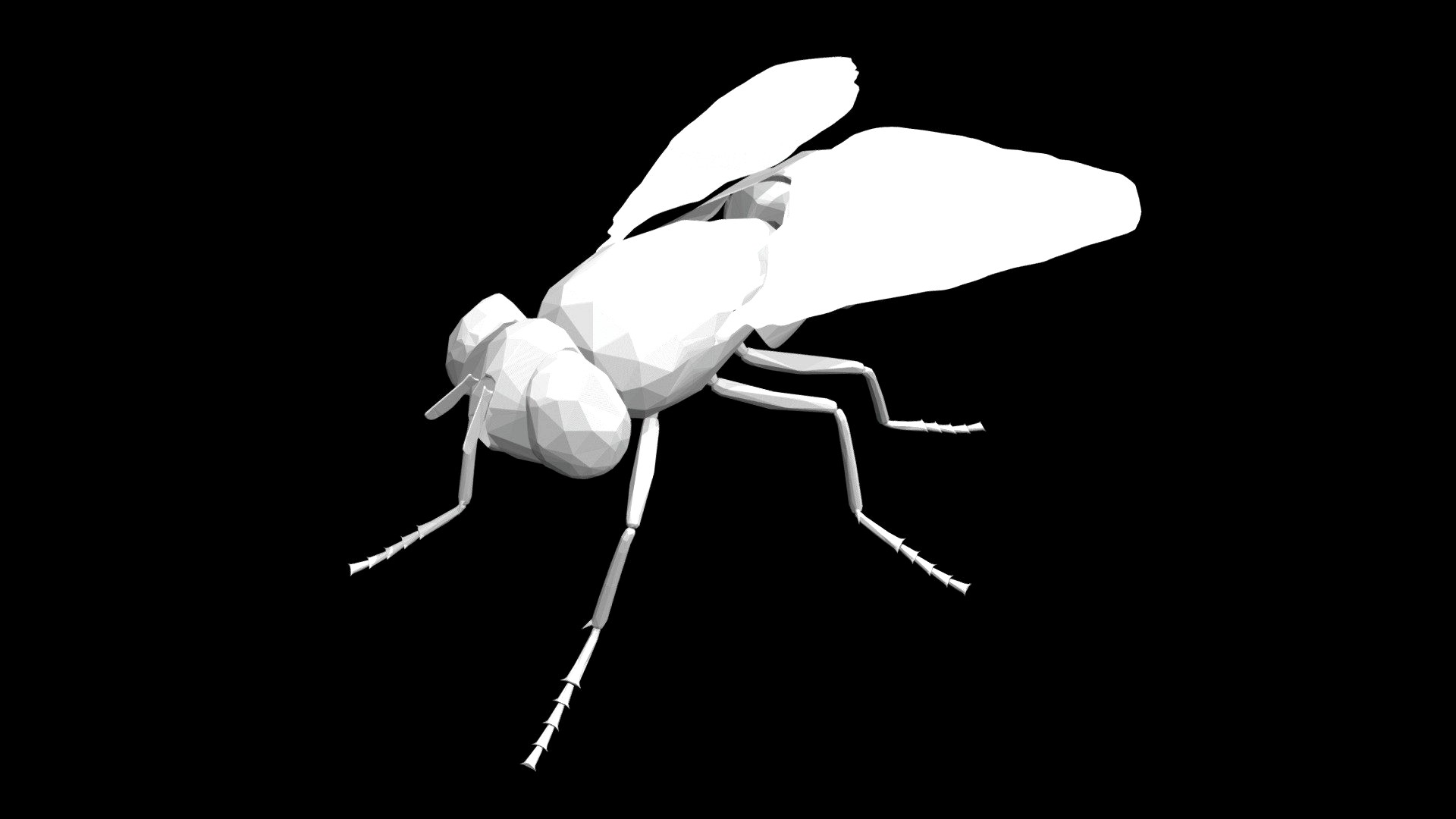 FLY LOWPOLY