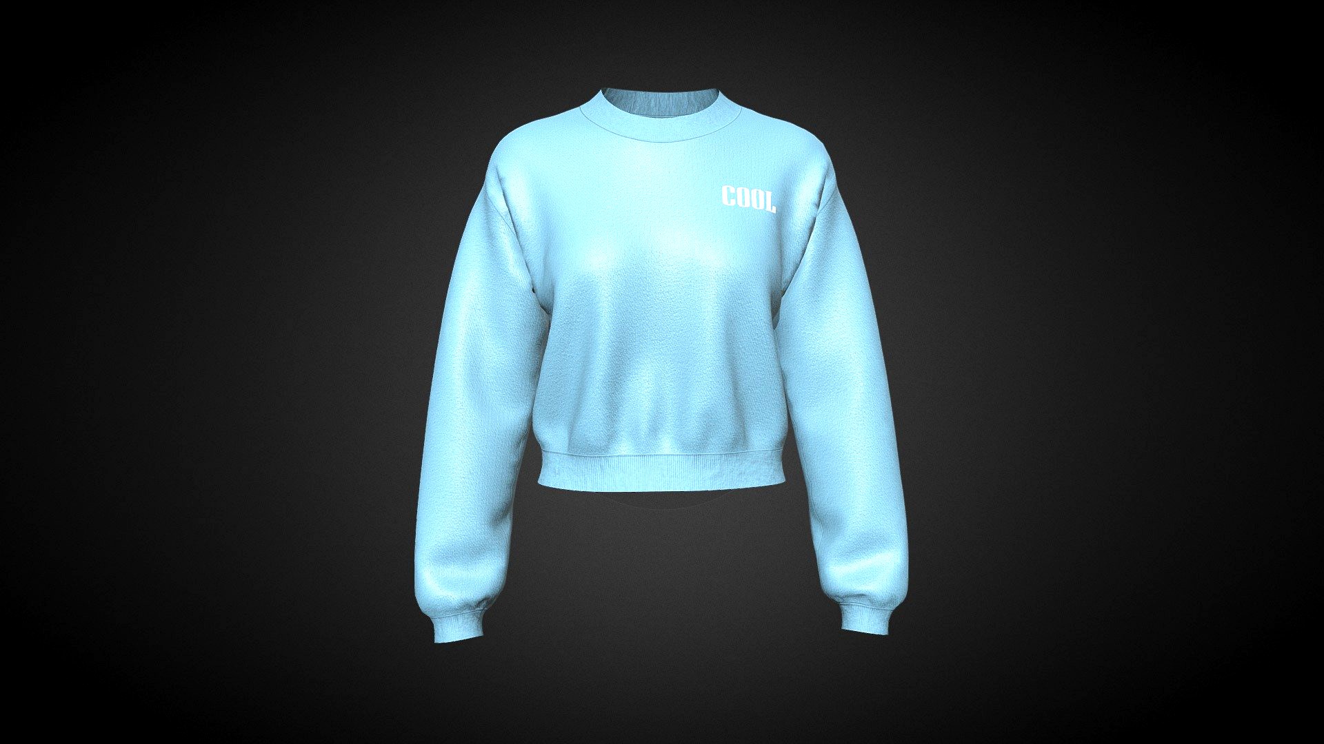 Ladies Sweatshirt V2