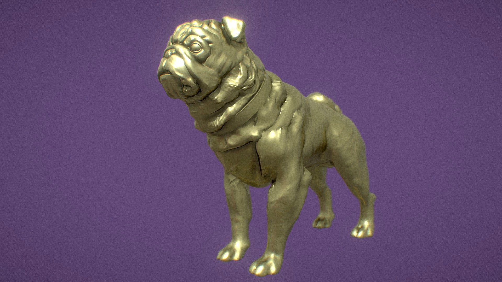 pug
