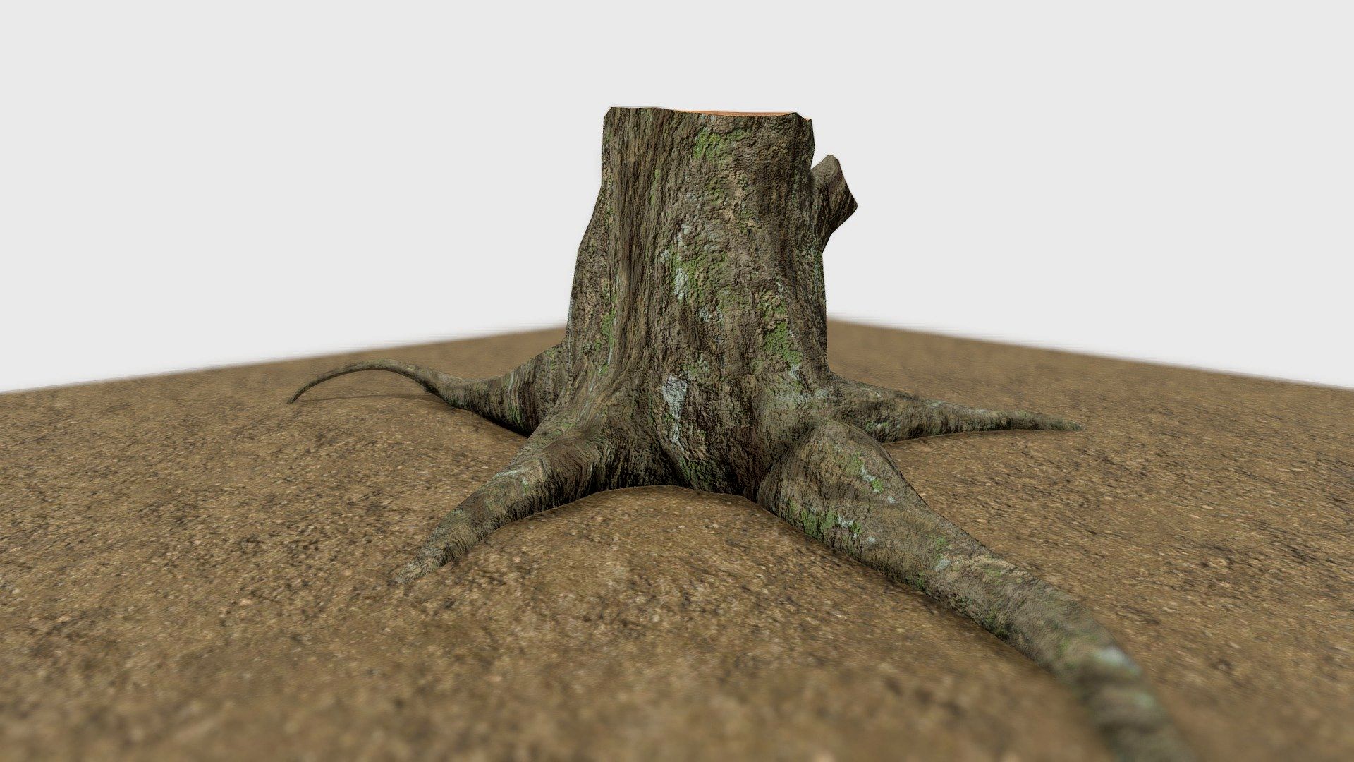 Cut Tree Stump Version 02